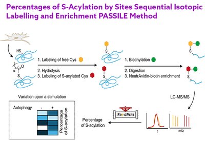 Quantifying S-Acylation