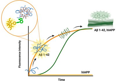 Lighting Up Oligomers