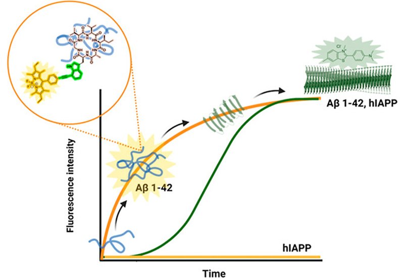 Lighting Up Oligomers