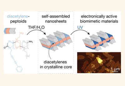 Conducting Peptoid Sheets