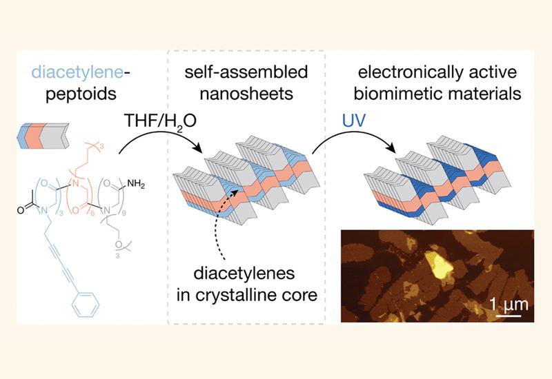 Conducting Peptoid Sheets
