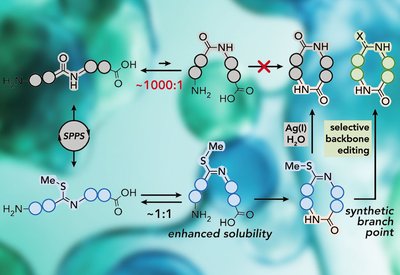 Unlocking Small Macrocycles