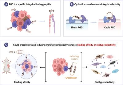 Tuning Integrin Selectivity