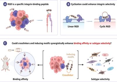 Tuning Integrin Selectivity