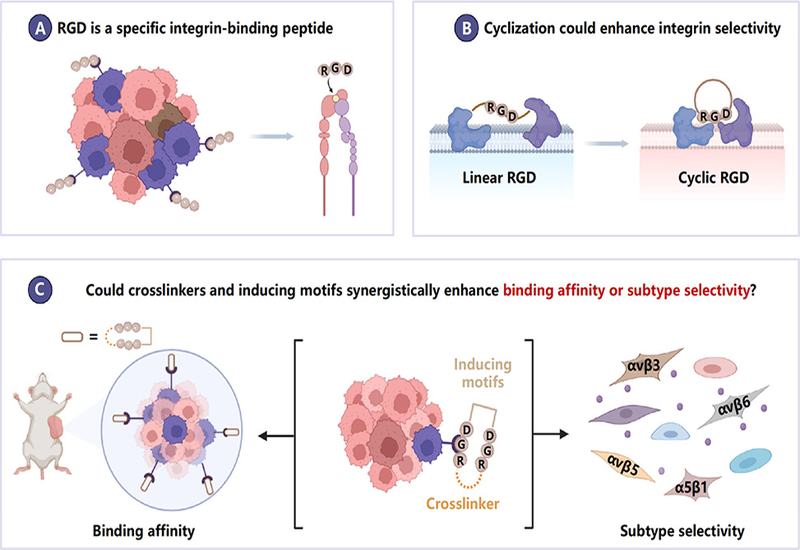 Tuning Integrin Selectivity