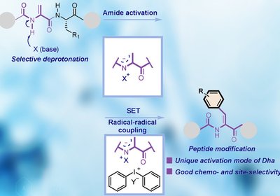 Activating Dehydroalanine
