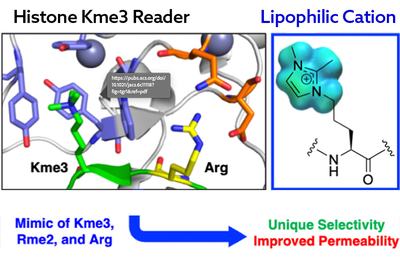 Lipophilic Cation Switch
