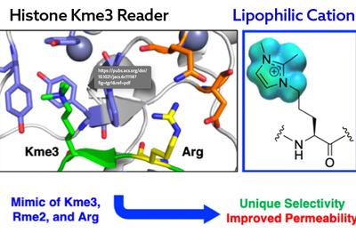 Lipophilic Cation Switch