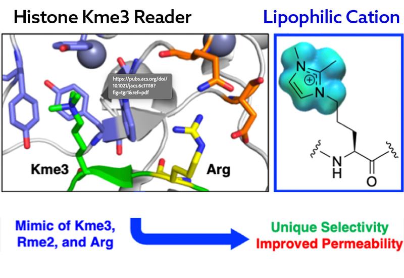 Lipophilic Cation Switch