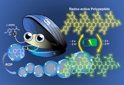 Mussel-Inspired Batteries