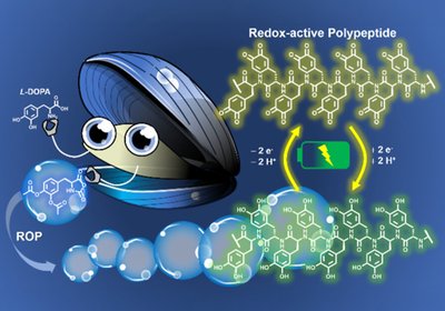 Mussel-Inspired Batteries