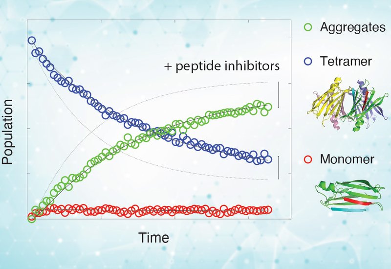 Peptide Aggregation Blockers