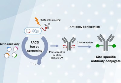 Evolved Photo-Cross-Linkers