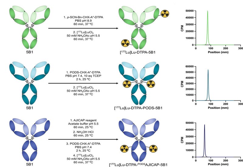 Targeted Conjugates