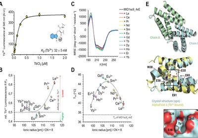 Catching Lanthanides