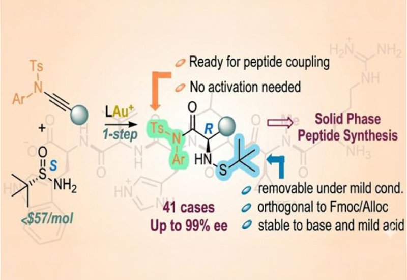 Ready-Made Amino Acids