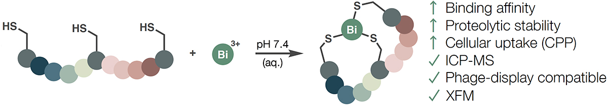 Bismuth Bicycle Illustration