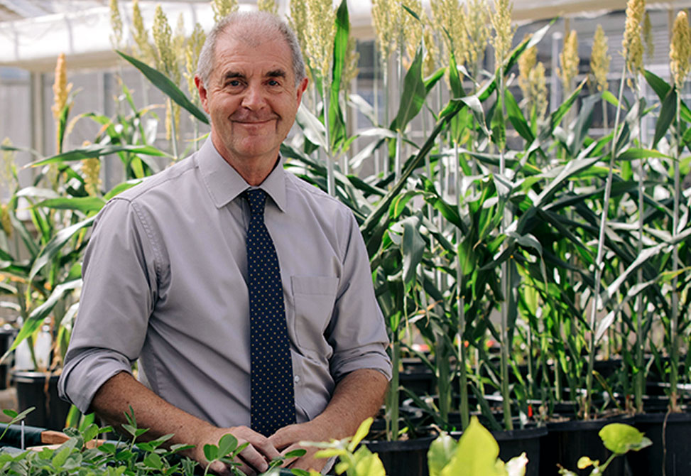 Professor David Craik