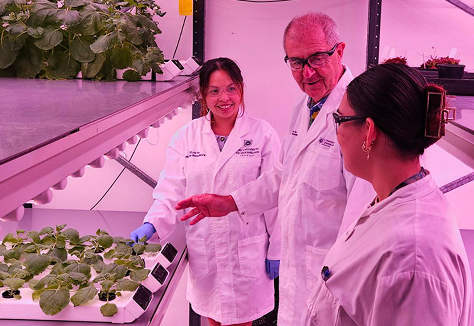 Greenhouse Environment