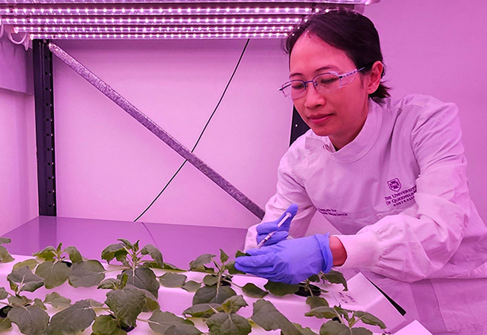 Greenhouse Environment