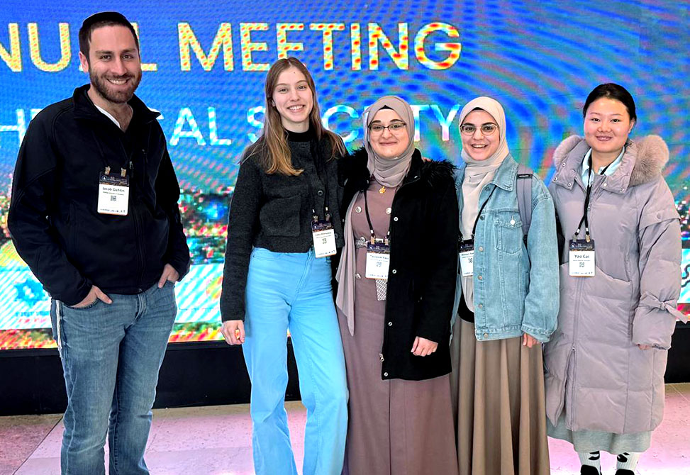 The Metanis Group