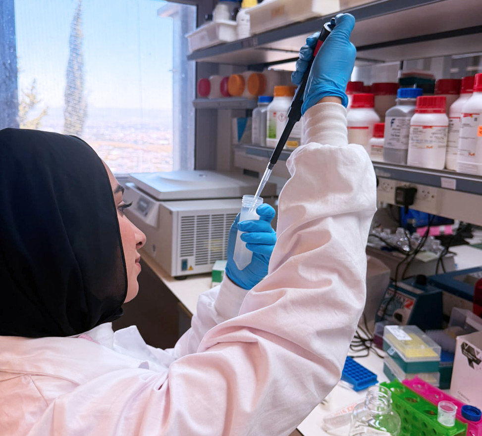 The Ashraf Brik Group