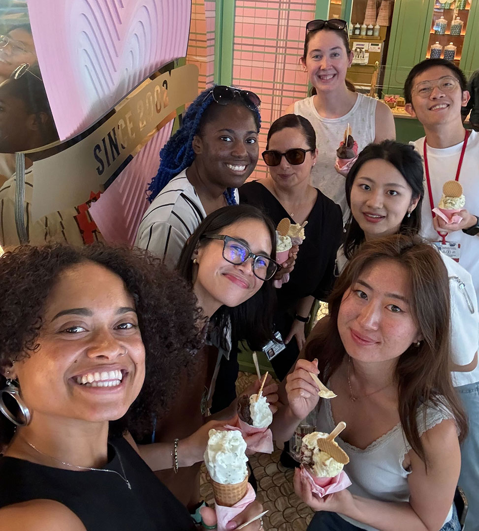 David Lab Ice Crteam Brake