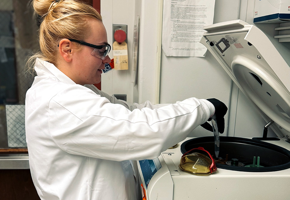 Research in progress