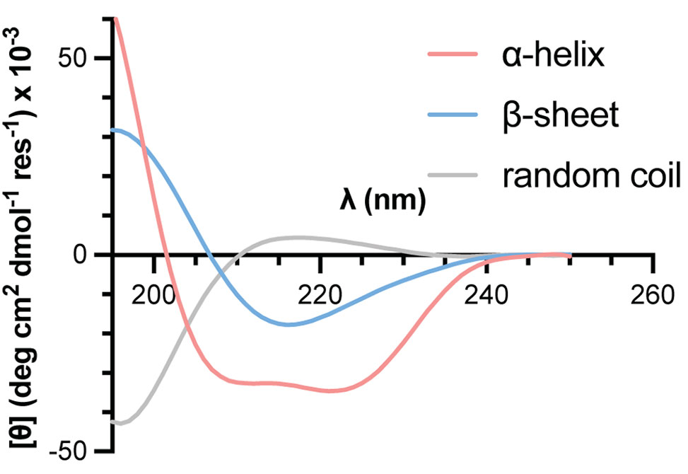 CD spectroscopy illustration showing differential absorption of circularly polarized light