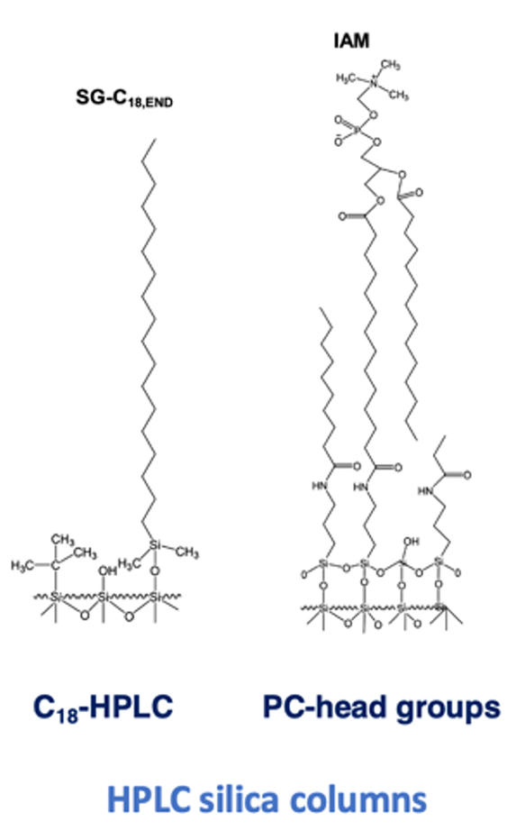IAM silica column structure showing immobilized phosphatidylcholine on silica particles
