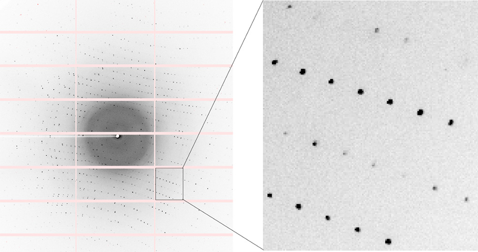Diffraction image of peptide crystal acquired on synchrotron beamline 5.0.2 at the Advanced Light Source